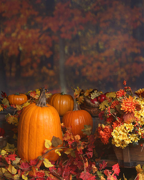Autumn scene with pumpkins stock photo