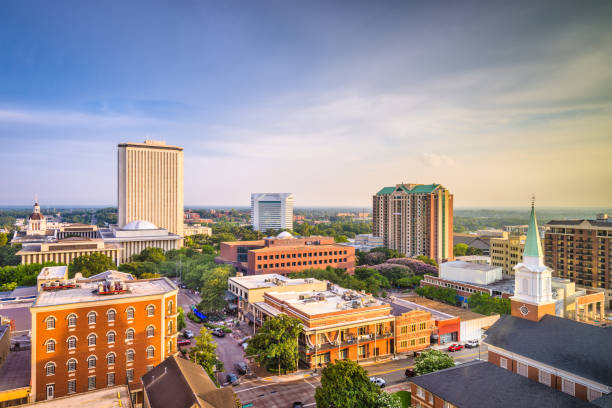 Tallahassee, Florida, USA Skyline Tallahassee, Florida, USA downtown skyline. tallahassee stock pictures, royalty-free photos & images