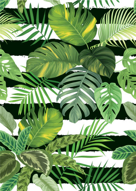 illustrations, cliparts, dessins animés et icônes de les feuilles de tropical modèle sans couture avec paume fond. - palm leaf frond leaf backgrounds