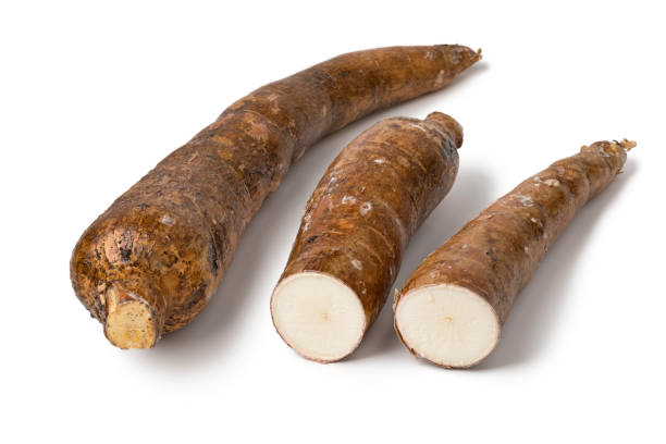 istock Whole Cassava root and two parts 932810414