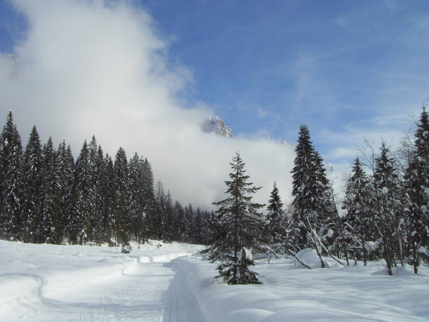 istock Ski Holiday Mountain - Italy 932816292