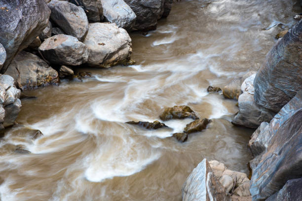 istock The river in tropical forest, Thailand 932827280