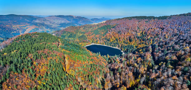 лак-дю-баллон, озеро в горах вогеса - haut-rhin, франция - haut rhin ст�оковые фото и изображения