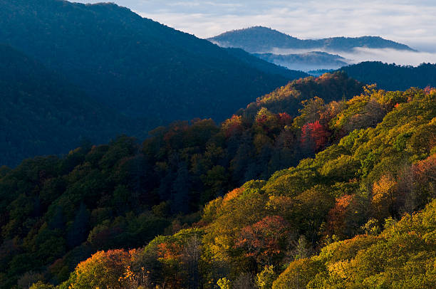 スモーキー山脈国立公園 - tennessee east mountain smoke ストックフォトと画像