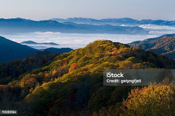 スモーキー山脈国立公園 - テネシー州のストックフォトや画像を多数ご用意 - テネシー州, オークの木, ノースカロライナ州