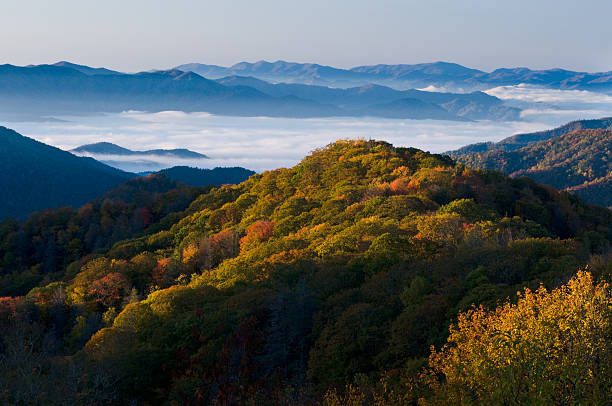 efeito smoky montanhas parque nacional - famous place appalachian mountains autumn awe imagens e fotografias de stock
