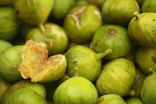 Figs fresh from picking stock photo