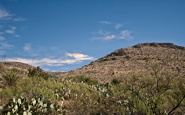 Desert Scenery at Carlsbad Caverns National Park  carlsbad texas stock pictures, royalty-free photos & images