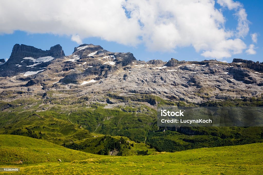 Sommerweiden Mit Wendenstoecke - Lizenzfrei Alm Stock-Foto