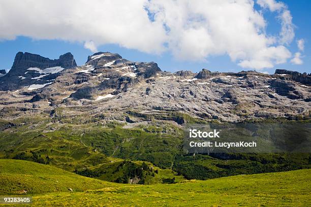 Sommerweiden Mit Wendenstoecke Stockfoto und mehr Bilder von Alm - Alm, Alpen, Berg