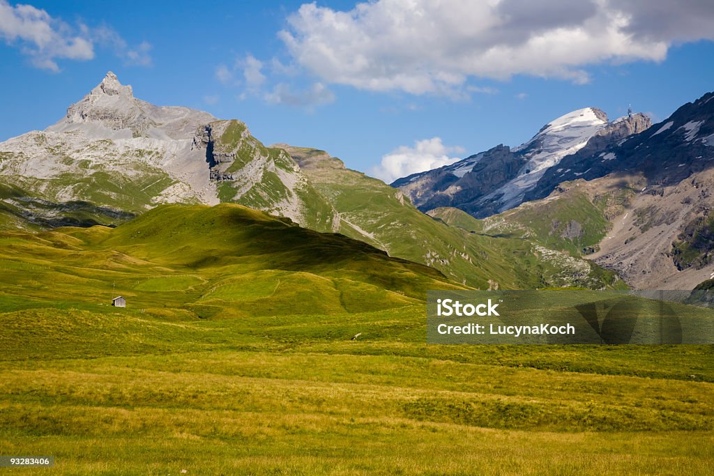 Sommerweide Auf Tannalp - Lizenzfrei Alm Stock-Foto