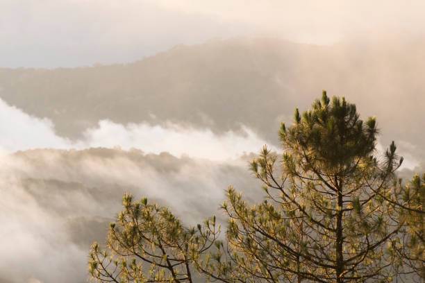 istock Mountains during sunset. Beautiful natural landscape in the summer time 932837262