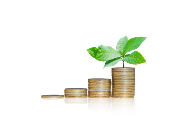 istock coins stack with green leaves growth up on top coin isolated on white background and reflection with clipping path. financial and saving concept. 932841640