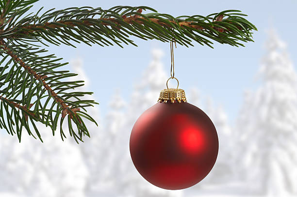 esfera de árvore de natal - weihnachtskugel imagens e fotografias de stock