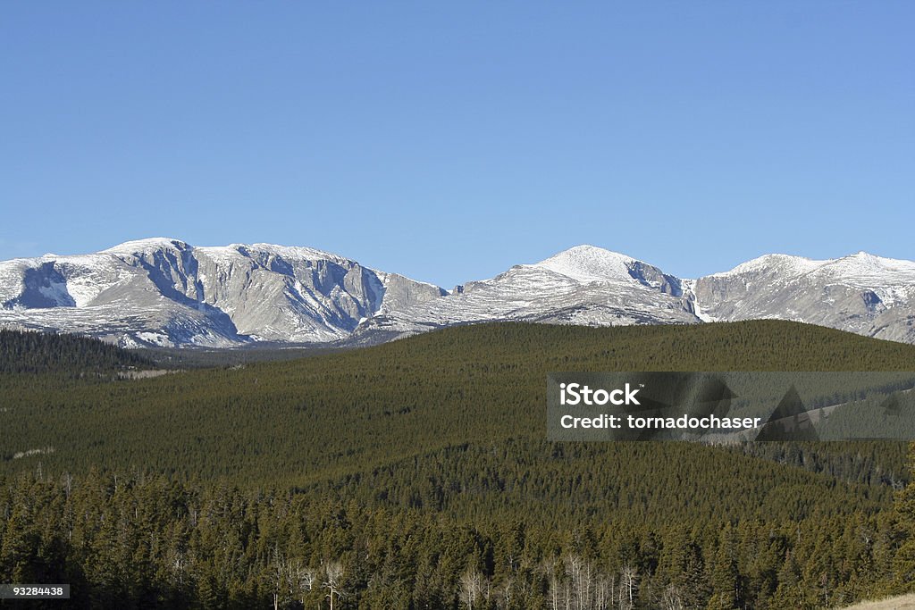 mountain forest  Butte - Montana Stock Photo