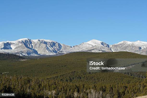 Mountain Forest Stock Photo - Download Image Now - Butte - Montana, Abundance, Animal Hump