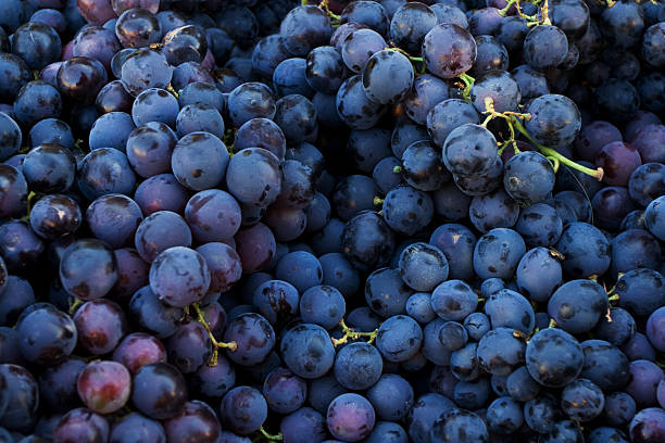 vermelho escuro uvas frescas no market place - grape - fotografias e filmes do acervo