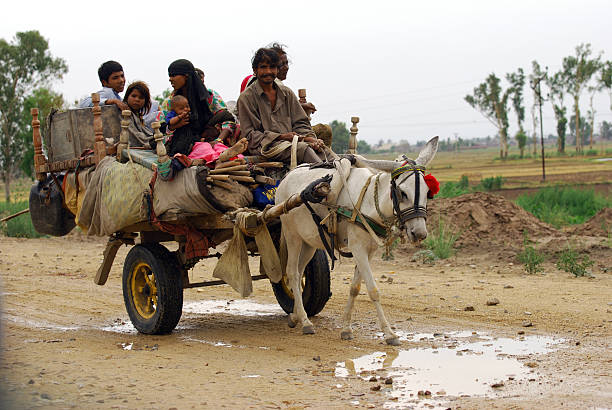 istock Gypsies on donkey cart 93285630