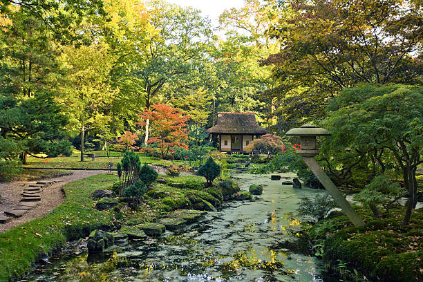 autumn in japanese garden stock photo