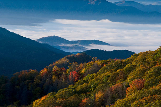 Treetops under cloudy sky in Smokey Mountains National Park stock photo