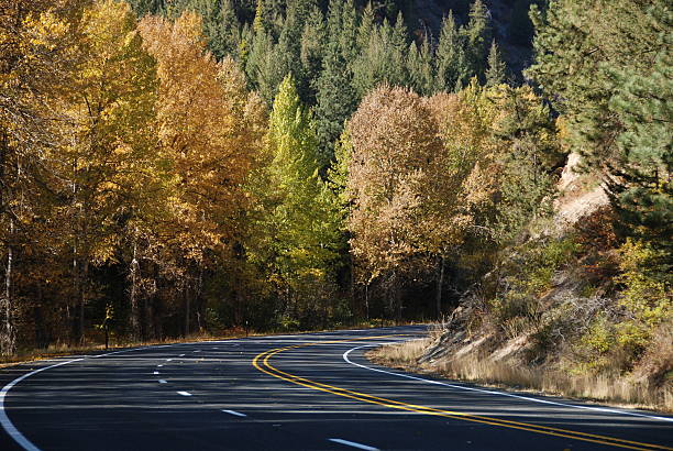 istock Change of Seasons - Blewitt Pass 93288330