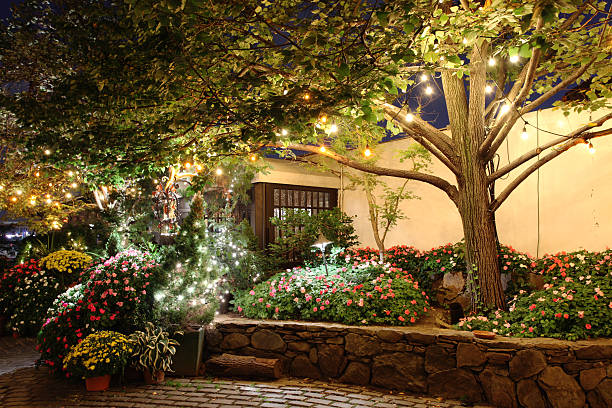 Park and street light at night Material