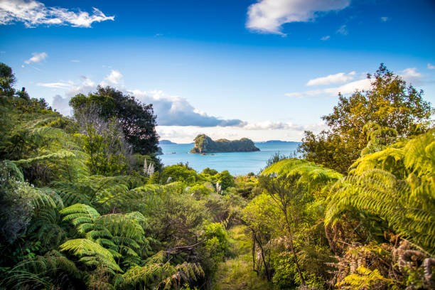 istock Exploring the New Zealand Coastline 932901986