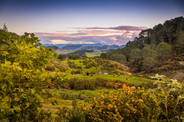 istock Exploring the New Zealand Coastline 932902086