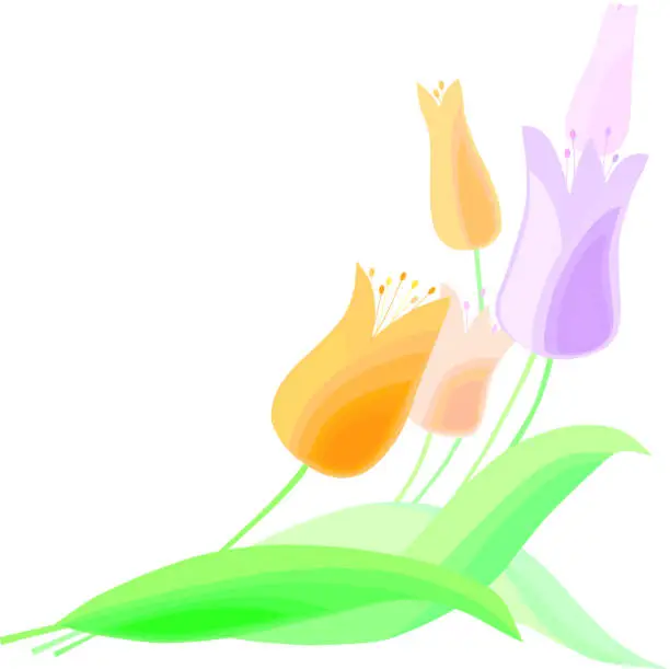 Vector illustration of tulips