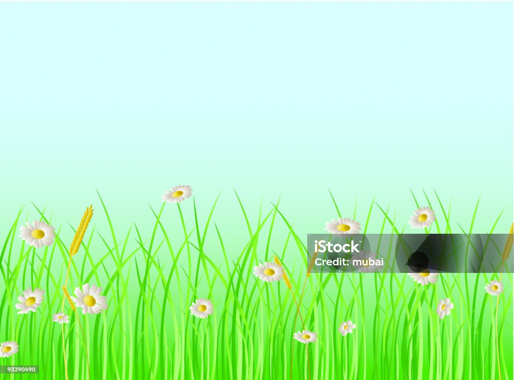 meadow der chamomiles - Lizenzfrei Bildhintergrund Vektorgrafik