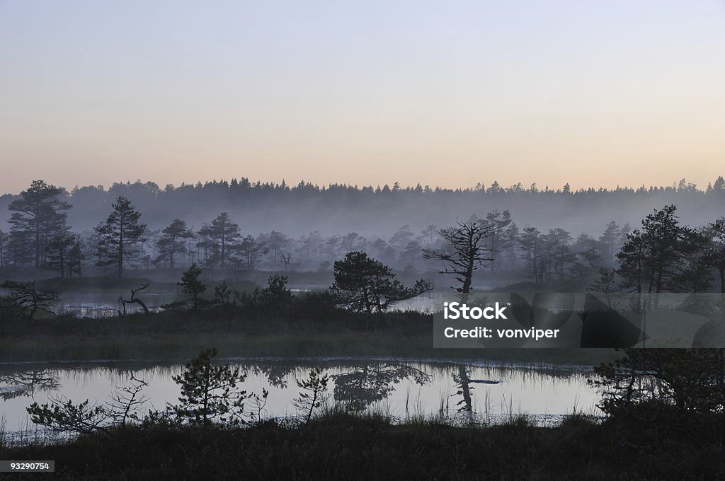 Misty noche en Kakerdaja Bog - Foto de stock de Agua libre de derechos