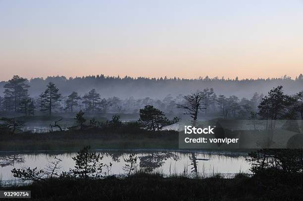 Misty Noche En Kakerdaja Bog Foto de stock y más banco de imágenes de Agua - Agua, Aire libre, Anochecer