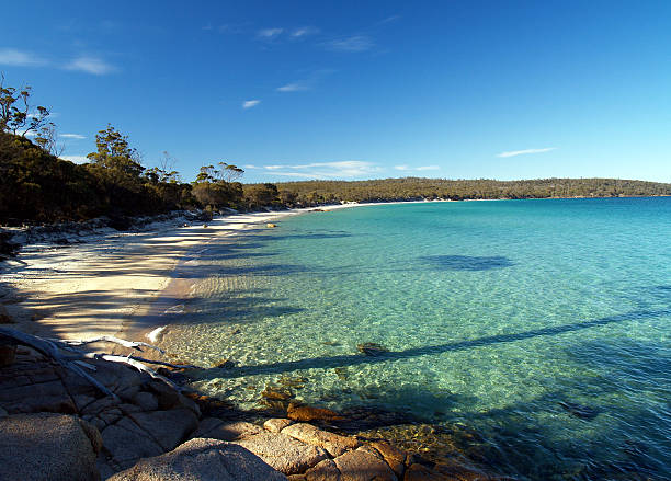 istock Cooks beach in Freycinet National Park, Tasmania, Australia 93290829