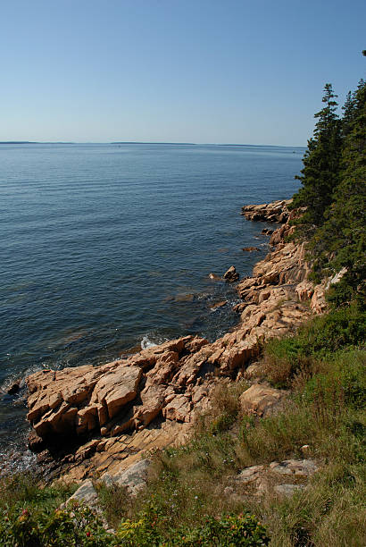 istock Summer sea at Bass Harbor Head 93291106