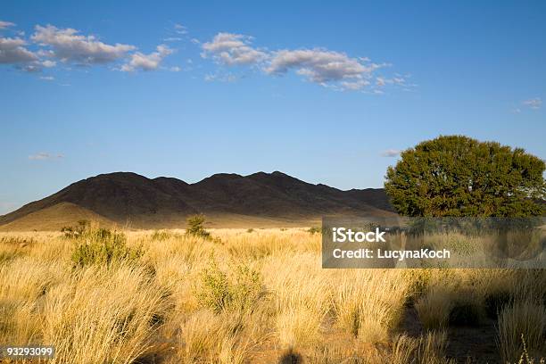 Abendsonne Stockfoto und mehr Bilder von Steppe - Steppe, Steppenlandschaft, Namibia