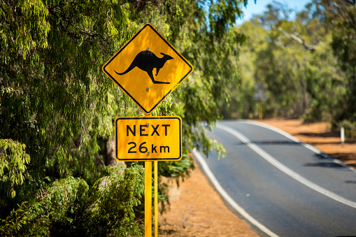 A kangaroo crossing line on the edge of a road through Margaret River in Western Australia.