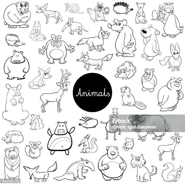 Cartoon Wild Animal Characters Set Color Book Stock Illustration - Download Image Now - Black Bear, Beaver, Fox