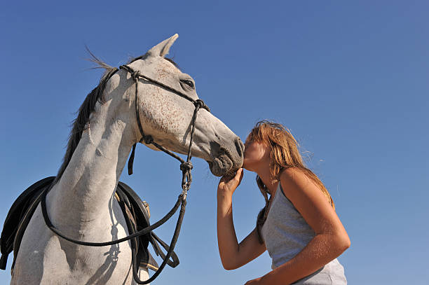 teen e cavalo árabe - 4605 imagens e fotografias de stock