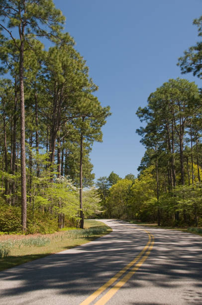 country road, carolina del sur - clear sky vacations vertical saturated color fotografías e imágenes de stock