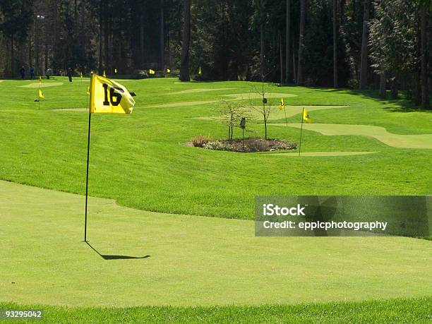 Photo libre de droit de Drapeau De Golf Et Putting Green banque d'images et plus d'images libres de droit de Activité de loisirs - Activité de loisirs, Drapeau, Drapeau de golf