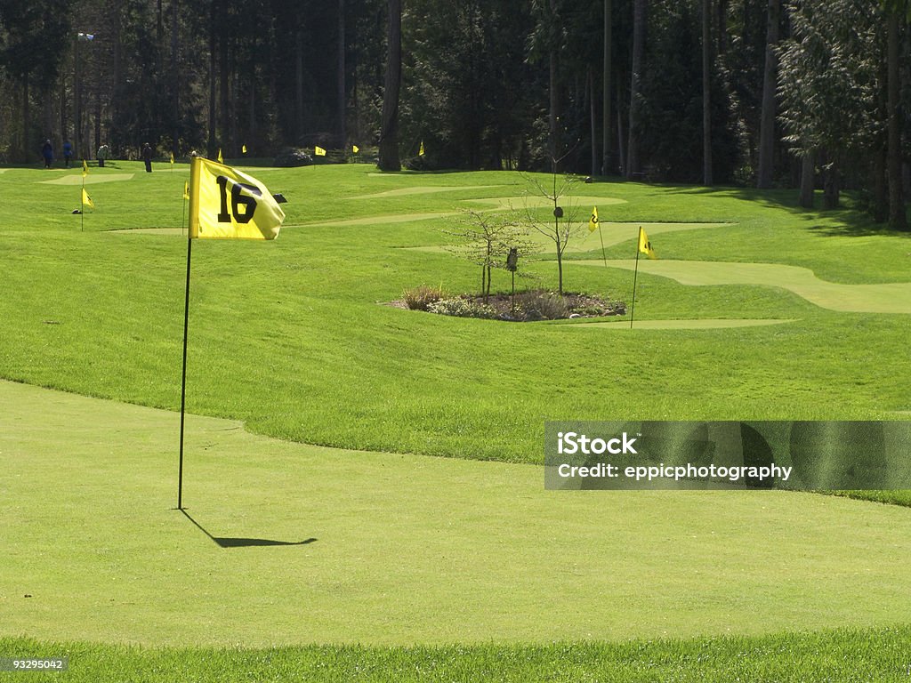 Ввод поле для гольфа и флаг - Стоковые фото Putting роялти-фри