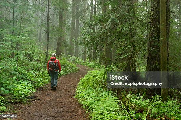 Sapatos De Caminhadas De Cano Médio Num Misty Forest - Fotografias de stock e mais imagens de Adulto