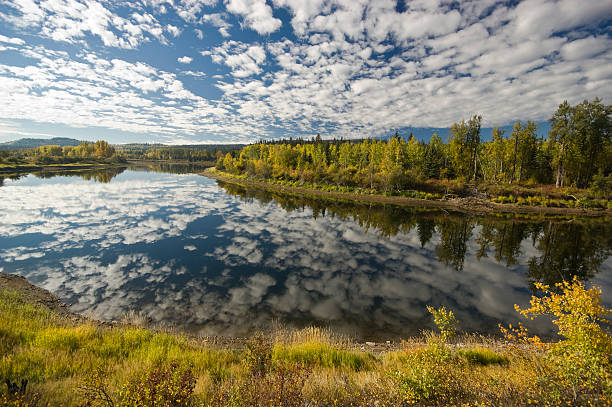 nechako river - cirrocumulus stock-fotos und bilder