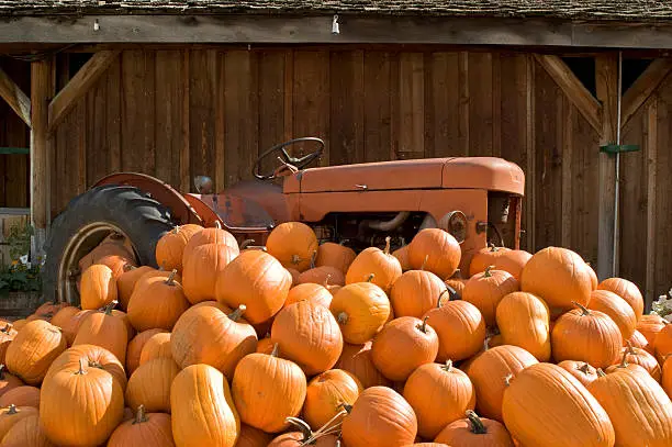 Photo of Tractor and pumpkins