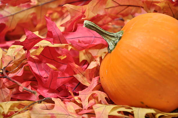Pumpkin with fall leaves stock photo