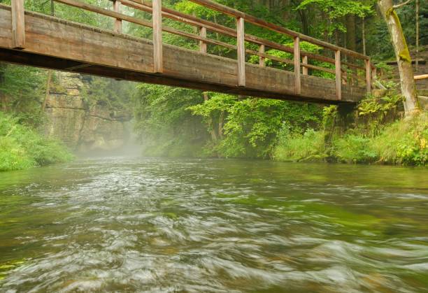 istock River in rain and fog with wooden bridge 932974120