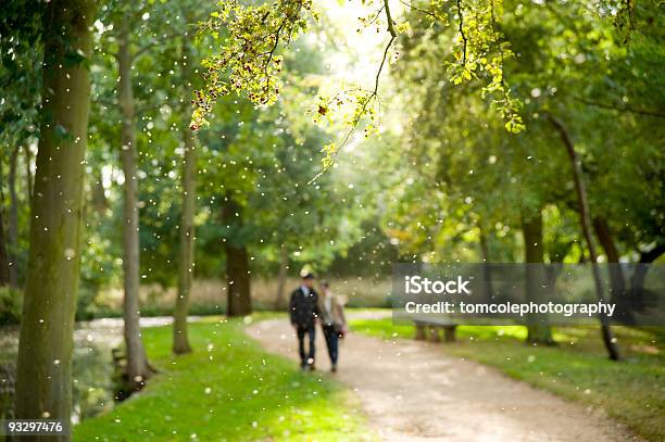 Прогулка В Парке — стоковые фотографии и другие картинки Оксфорд - Англия - Оксфорд - Англия, Фоновые изображения, Англия