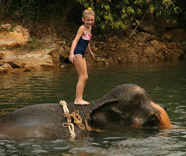 Photo of Elephant River Ride