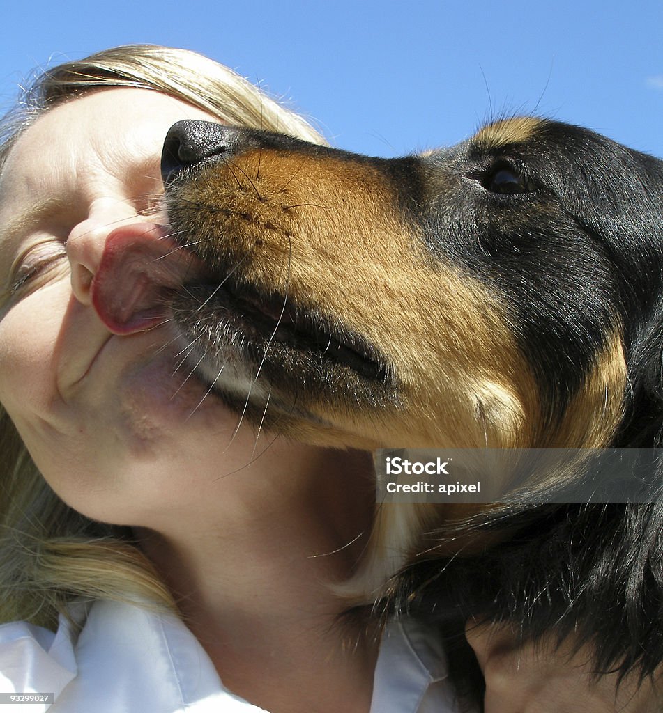 Cane bacio - Foto stock royalty-free di Cane