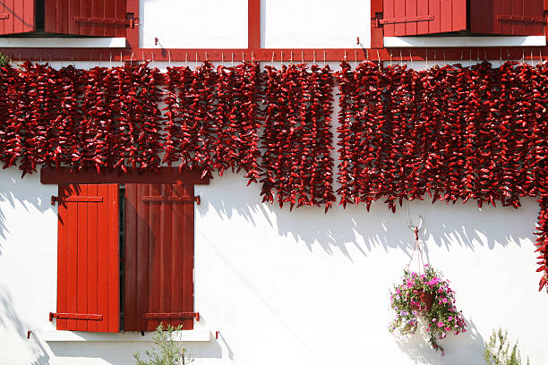 drying peppers bunches stock photo